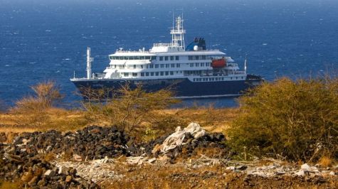 Tedros Adhanom, director general de la OMS, informó que las posibilidades de que el brote de hantavirus detectado en el crucero MV Hondius se propague son reducidas (Foto: EFE)