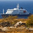 Tedros Adhanom, director general de la OMS, informó que las posibilidades de que el brote de hantavirus detectado en el crucero MV Hondius se propague son reducidas (Foto: EFE)