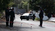 Homicidios dolosos diarios caen 40% desde inicio de administración de Claudia Sheinbaum Pardo 