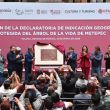 La gobernadora Delfina Gómez celebró protección del Árbol de la Vida