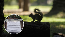 Un aviso colocado en los accesos informa el cierre indefinido de los Viveros de Coyoacán por cuestiones de saneamiento. Cuartoscuro / Redes sociales