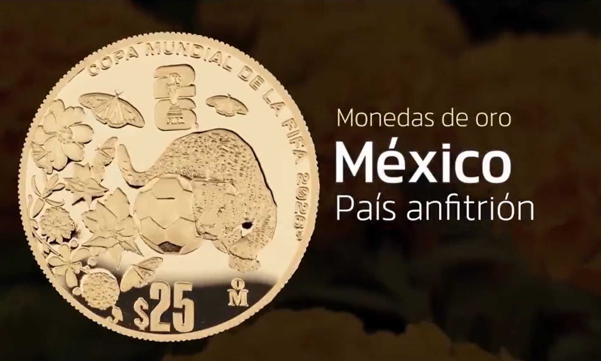 Al centro, ligeramente desfasado hacia la derecha, un balón de fútbol con un jaguar, a la izquierda flores de cempasúchil, nochebuenas y mariposas monarca. Arriba el logotipo de la FIFA 2026™. En el contorno superior, hacia la derecha, la leyenda COPA MUNDIAL DE LA FIFA 2026™. En el exergo la denominación y a la derecha la ceca de la casa de Moneda de México "M°".  Imagen del reverso de la moneda de la Copa Mundial de la FIFA 2026, Sede México (Banxico)