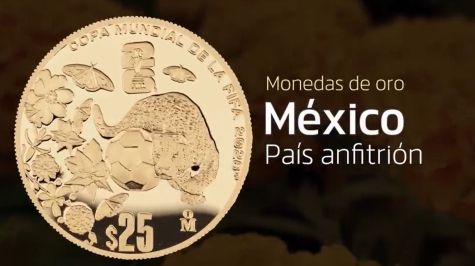 Al centro, ligeramente desfasado hacia la derecha, un balón de fútbol con un jaguar, a la izquierda flores de cempasúchil, nochebuenas y mariposas monarca. Arriba el logotipo de la FIFA 2026™. En el contorno superior, hacia la derecha, la leyenda COPA MUNDIAL DE LA FIFA 2026™. En el exergo la denominación y a la derecha la ceca de la casa de Moneda de México "M°".  Imagen del reverso de la moneda de la Copa Mundial de la FIFA 2026, Sede México (Banxico)