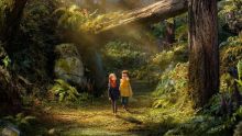 Wildwood estrena primer tráiler