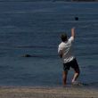 Crueldad en Maui: Turista agrede a foca en peligro de extinción y desafía a la ley Crueldad en Maui: Turista agrede a foca en peligro de extinción y desafía a la ley