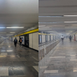 Diseño sin título (96)