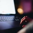 Fuente de la imagen: unsplash.com Fuente de la imagen: unsplash.com