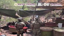 Estos operativos se concentraron en puntos estratégicos de Jalisco, Nayarit y Sinaloa (Foto: Especial)