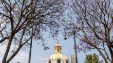 A través de su editorial "Desde la Fe", la Arquidiócesis Primada de México sostuvo que las desapariciones representan una tragedia que la sociedad no puede permitirse normalizar (Foto: Cuartoscuro)