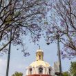 A través de su editorial "Desde la Fe", la Arquidiócesis Primada de México sostuvo que las desapariciones representan una tragedia que la sociedad no puede permitirse normalizar (Foto: Cuartoscuro) A través de su editorial "Desde la Fe", la Arquidiócesis Primada de México sostuvo que las desapariciones representan una tragedia que la sociedad no puede permitirse normalizar (Foto: Cuartoscuro)