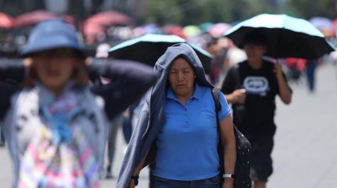Esta iniciativa busca mitigar el impacto de un fenómeno que, según datos citados de la Organización Mundial de la Salud (OMS), cobró la vida de al menos 330 personas durante 2024 (Foto: Cuartoscuro)