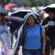 Esta iniciativa busca mitigar el impacto de un fenómeno que, según datos citados de la Organización Mundial de la Salud (OMS), cobró la vida de al menos 330 personas durante 2024 (Foto: Cuartoscuro)