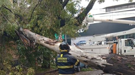 El incidente ocurrió específicamente en el cruce de la calle Botticelli y Circuito Interior, dentro de la colonia Santa María Nonoalco (Foto: Especial)