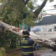 El incidente ocurrió específicamente en el cruce de la calle Botticelli y Circuito Interior, dentro de la colonia Santa María Nonoalco (Foto: Especial) El incidente ocurrió específicamente en el cruce de la calle Botticelli y Circuito Interior, dentro de la colonia Santa María Nonoalco (Foto: Especial)