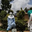Si bien el peligro para la población local se clasifica actualmente como "bajo", las autoridades mantienen una observación constante sobre la evolución de la cepa denominada EVE-Bundibugyo (Foto: EFE) Si bien el peligro para la población local se clasifica actualmente como "bajo", las autoridades mantienen una observación constante sobre la evolución de la cepa denominada EVE-Bundibugyo (Foto: EFE)