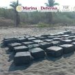El aseguramiento fue realizado por la Marina en las costas de Chiapas. Foto Especial