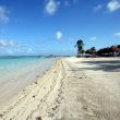 Alertan por impacto ecológico de “Perfect Day México” en Quintana Roo