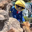 Caos en zoológico de Japón: turistas invaden recinto del mono viral Punch Caos en zoológico de Japón: turistas invaden recinto del mono viral Punch