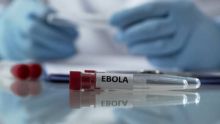 OMS espera que en dos meses haya vacunas para contener el actual brote de ébola (Pexels)