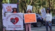 Uno de los puntos más críticos de la denuncia radica en el impacto ecológico en la Barranca Echánove, situada en la alcaldía Cuajimalpa (Foto: Cuartoscuro)