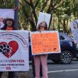 Uno de los puntos más críticos de la denuncia radica en el impacto ecológico en la Barranca Echánove, situada en la alcaldía Cuajimalpa (Foto: Cuartoscuro) Uno de los puntos más críticos de la denuncia radica en el impacto ecológico en la Barranca Echánove, situada en la alcaldía Cuajimalpa (Foto: Cuartoscuro)