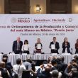 Uno de los pilares fundamentales de este convenio es el compromiso de las empresas compradoras para privilegiar la adquisición de maíz blanco cosechado en territorio nacional (Foto: Cuartoscuro)