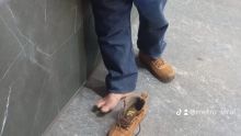 El hecho cobró relevancia luego de que diversos reportes y fotografías del incidente comenzaran a circular a través de redes sociales como Facebook y X (Foto: @MetroViralMx)