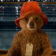 Paddington 4 ya cuenta con guionistas Paddington 4 ya cuenta con guionistas