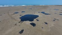 Greenpeace denuncia a Pemex por derrame en el Golfo de México y ocultamiento de información (Foto Cuartoscuro)