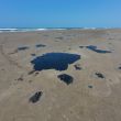 Greenpeace denuncia a Pemex por derrame en el Golfo de México y ocultamiento de información (Foto Cuartoscuro)