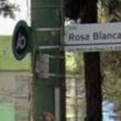 Dicho operativo se llevó a cabo específicamente sobre la calle Prolongación Rosa Blanca, donde los uniformados detectaron la presencia de los sospechosos (Foto: Google Maps / Ilustrativa)
