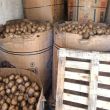 El aseguramiento tuvo lugar en Durango, donde elementos de la FGR interceptaron un tractocamión que transportaba la sustancia ilícita disimulada bajo un cargamento de vegetales (Foto: Especial)
