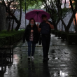Protección Civil activó la Alerta Amarilla por lluvias fuertes y posible caída de granizo en siete alcaldías de la Ciudad de México. Cuartoscuro Protección Civil activó la Alerta Amarilla por lluvias fuertes y posible caída de granizo en siete alcaldías de la Ciudad de México. Cuartoscuro