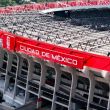 Rosa María Wong, jefa de la subdivisión de Investigación Clínica de la considerada máxima casa de estudios, calificó la amenaza como "casi nula" para las tres naciones anfitrionas del Mundial 2026: México, Estados Unidos y Canadá (Foto: Cuartoscuro) Rosa María Wong, jefa de la subdivisión de Investigación Clínica de la considerada máxima casa de estudios, calificó la amenaza como "casi nula" para las tres naciones anfitrionas del Mundial 2026: México, Estados Unidos y Canadá (Foto: Cuartoscuro)