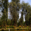 Autoridades capitalinas anunciaron acciones para combatir las descargas de aguas residuales que afectan los canales de Xochimilco. Cuartoscuro Autoridades capitalinas anunciaron acciones para combatir las descargas de aguas residuales que afectan los canales de Xochimilco. Cuartoscuro