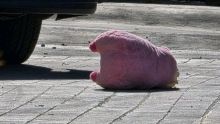Traas el asesinato de una mujer en Culiacán, un peluche rosa fue dejado en la escena del crimen. Foto Redes Sociales