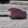 Traas el asesinato de una mujer en Culiacán, un peluche rosa fue dejado en la escena del crimen. Foto Redes Sociales Traas el asesinato de una mujer en Culiacán, un peluche rosa fue dejado en la escena del crimen. Foto Redes Sociales