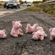 Homicidio de menor en Tecate se suma a los casos marcados por el cerdito rosa. (IA)