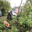 El sistema presenta vientos sostenidos de 55 kilómetros por hora y se desplaza hacia el noreste, localizándose a solo 155 kilómetros al sur de Acapulco, Guerrero (Foto: Cuartoscuro)