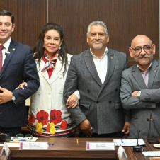 Explicó que su propuesta busca institucionalizar las audiencias públicas en la citada ley para contribuir a una mejor gobernabilidad 