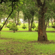 Diseño sin título 2026 06 La Sedema publicó el plan definitivo para regular el suelo, la flora y la fauna nativa de los más de 21 mil metros cuadrados que conforman el Parque Ecológico Loreto y Peña Pobre en Tlalpan. Creative Commons Diseño sin título 2026 06 La Sedema publicó el plan definitivo para regular el suelo, la flora y la fauna nativa de los más de 21 mil metros cuadrados que conforman el Parque Ecológico Loreto y Peña Pobre en Tlalpan. Creative Commons