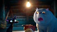 Se estrena el primer tráiler de 'Gatto'