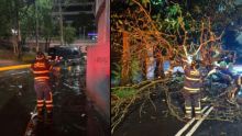 Lluvias del 11 de junio causan estragos en CDMX; bomberos atienden 136 incidentes (@JefeVulcanoCova) 