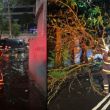 Lluvias del 11 de junio causan estragos en CDMX; bomberos atienden 136 incidentes (@JefeVulcanoCova) 