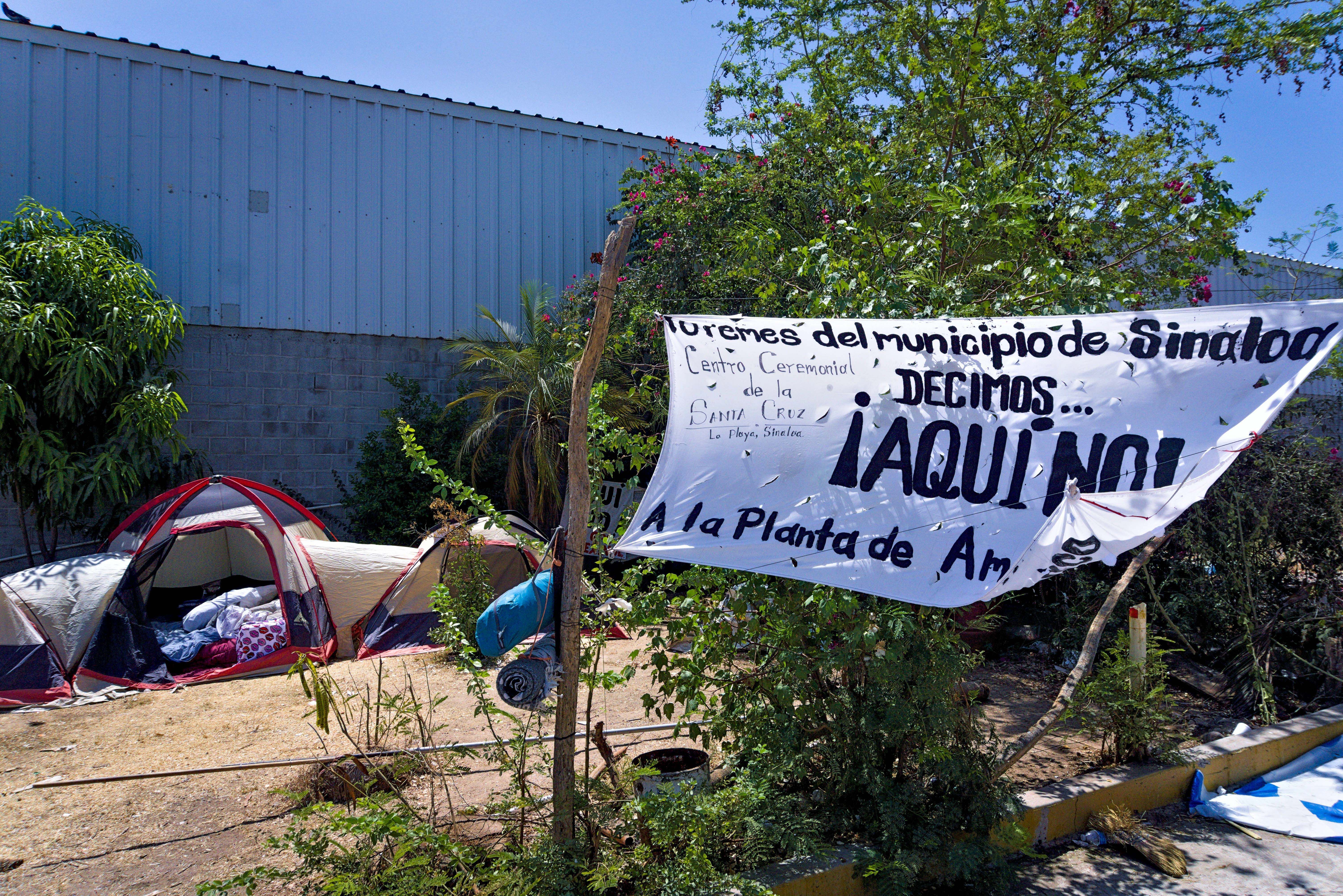 Conflicto en Sinaloa: Comunidades indígenas detienen megaproyecto petroquímico por daños ambientales 