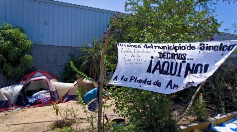 Conflicto en Sinaloa: Comunidades indígenas detienen megaproyecto petroquímico por daños ambientales 