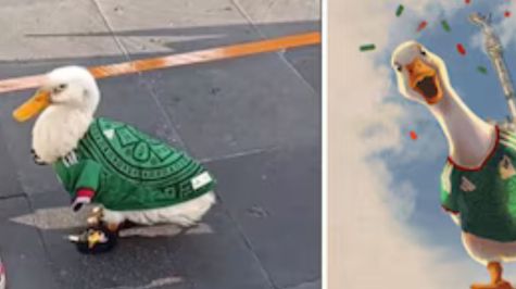 Merlín, quienes han acompañado su crecimiento como fenómeno viral desde los primeros días del Mundial 2026 Foto: Captura Merlín, quienes han acompañado su crecimiento como fenómeno viral desde los primeros días del Mundial 2026 Foto: Captura