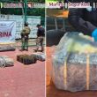 Semar asegura cargamento de 270 kilos de droga en Manzanillo. (Gabinete de Seguridad) Semar asegura cargamento de 270 kilos de droga en Manzanillo. (Gabinete de Seguridad)