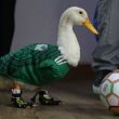 La mascota no oficial del Mundial viralizó a la familia Gómez, vendedores de aguas y refrescos en la capital.