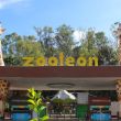 Zoológico de León, Guanajuato, refuerza vigilancia tras detectar dos casos de gusano barrenador. (especial)